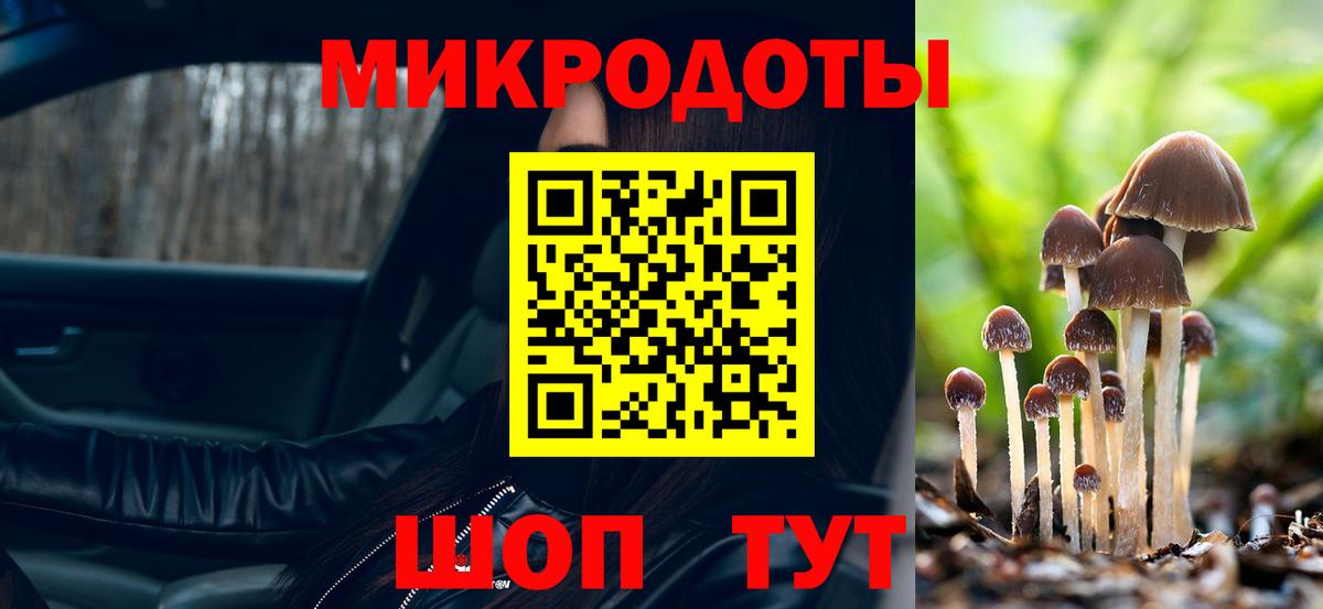 Галлюциногенные грибы прущие грибы Маркс