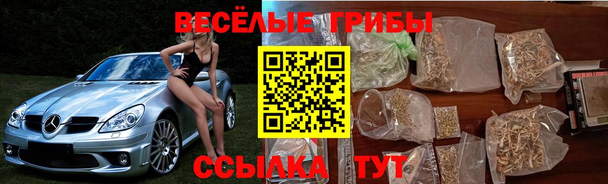 Псилоцибиновые грибы Cubensis  Псилоцибиновые грибы MAGIC MUSHROOMS  Вход с VPN  Маркс 